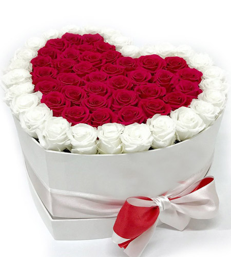 50 Pcs. Red and White Roses in A Box To Manila | Roses in Box To ...
