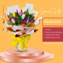send tulip to manila,delivery tulip flower to manila,online order tulip flower to manila,