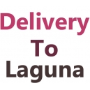 laguna area delivery
