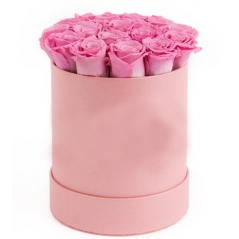 12 Pink Color Roses in Box