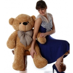 3 feet brown color big teddy bear