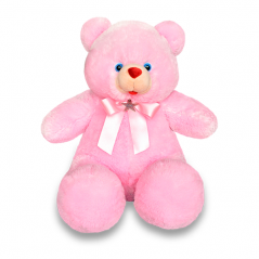 pink teddy to philippines