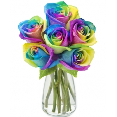Send Rainbow Ecuadorian Roses in Vase To Manila