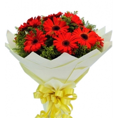 12 red gerbera in bouquet to philippines