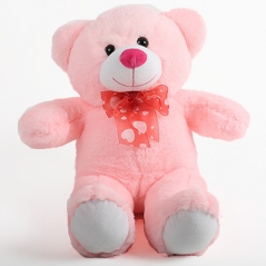 2 Feet Pink color teddy to philippines