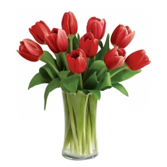 send tulips to philippines
