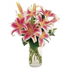 6 pcs Stargazer Lilies in Vase To Manila