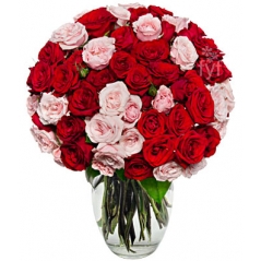 24 Pink & Red Roses Delivery to Manila Philippines