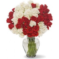 36 Bright Red & white Roses in Vase Delivery to Manila Philippines