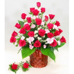 24 Red Roses in Basket Delivery to Manila Philippines