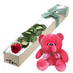 Single Red Rose in Box with Red Bear Delivery to Manila Philippines