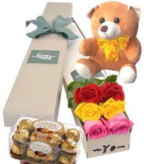 6 Mixed Roses Box,Bear with Ferrero Rocher Chocolate