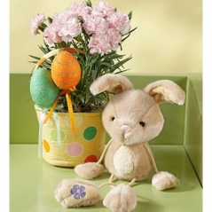 Carnation with Bunny
