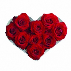 9 heart shape rose send to manila, philippines