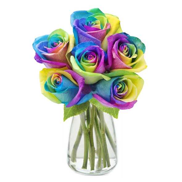 Send Rainbow Ecuadorian Roses in Vase To Manila
