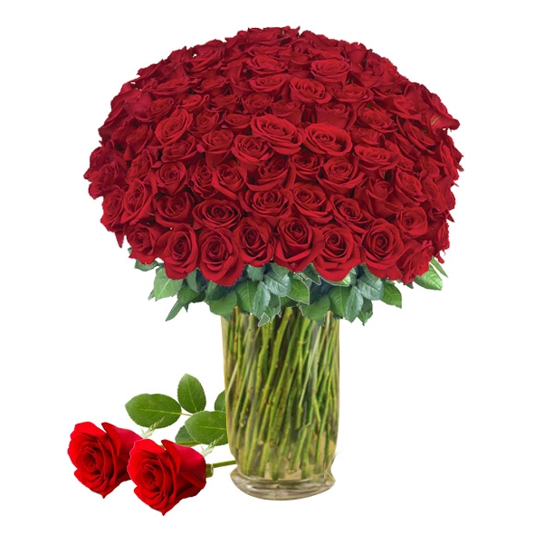 100 Stem Red Roses in Vase Delivery To Philippines