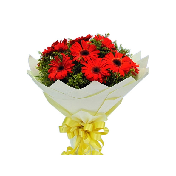 12 red gerbera in bouquet to philippines