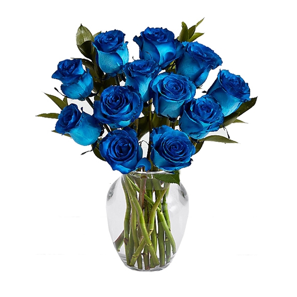 send blue rose to laguna