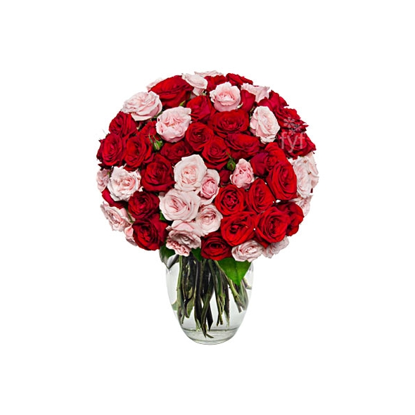 24 Pink & Red Roses Delivery to Manila Philippines